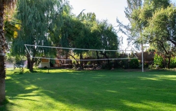 Cancha de vóleibol sobre pasto bajo los árboles
