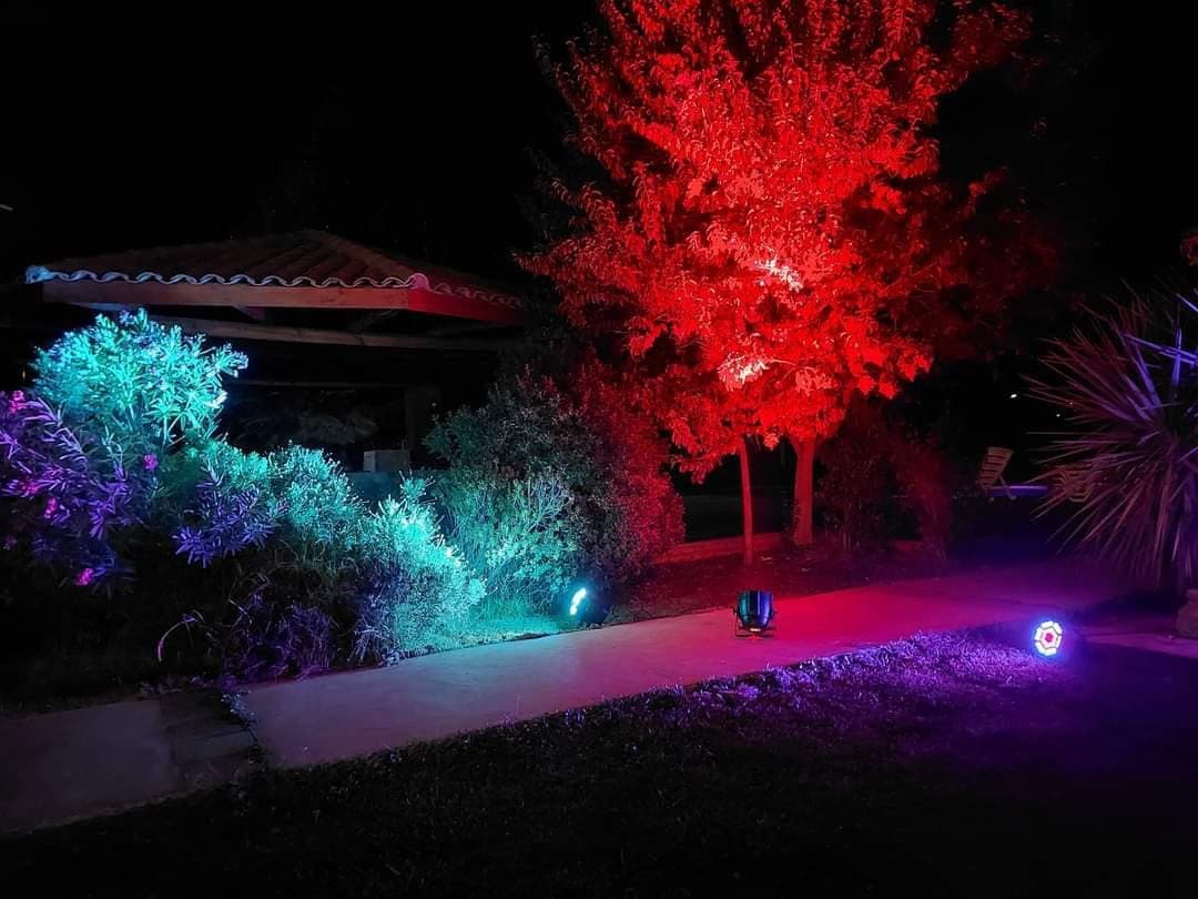 Jardines iluminados durante una celebración nocturna